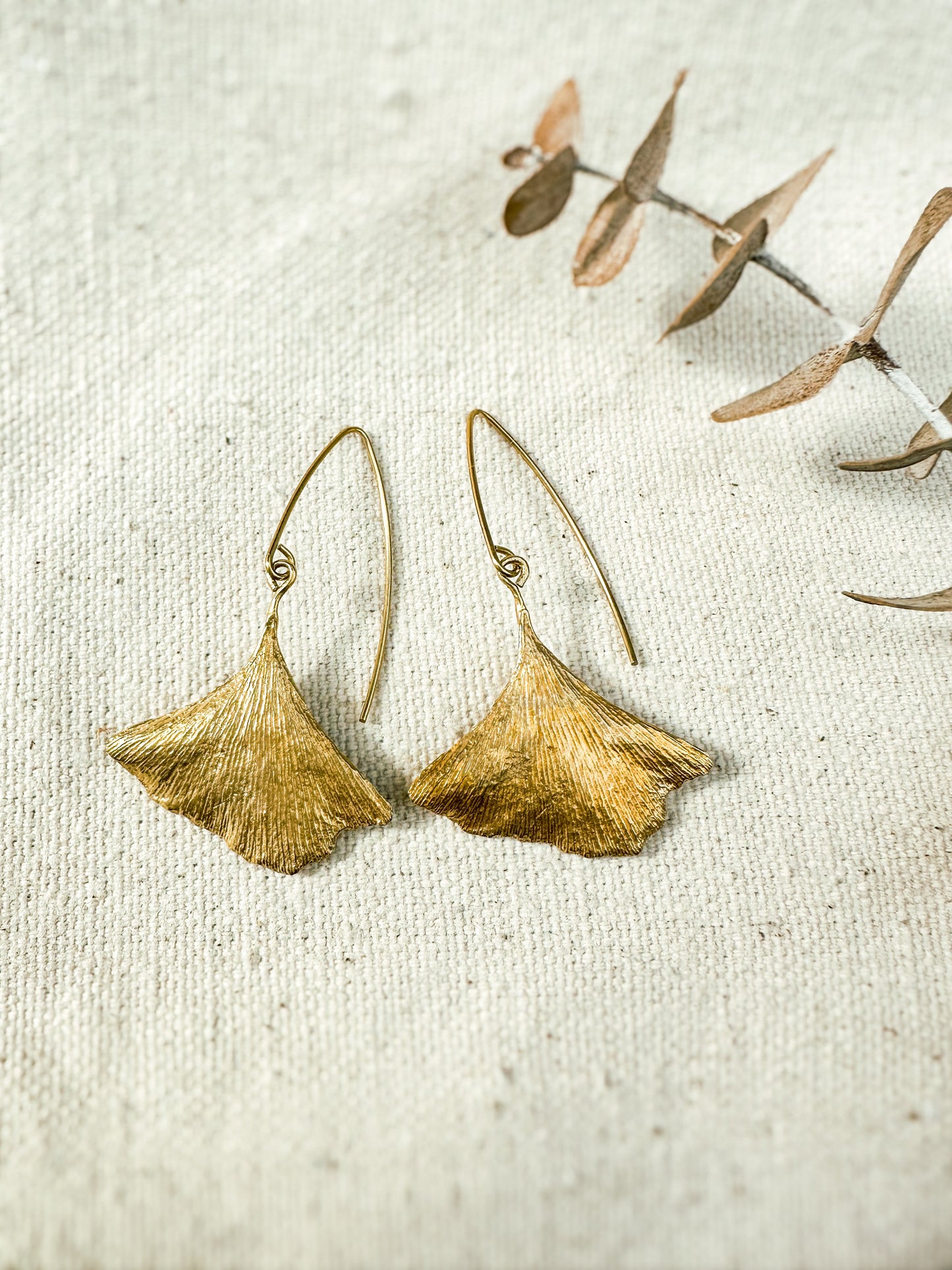 GINKGO | textured leaf earrings in brass