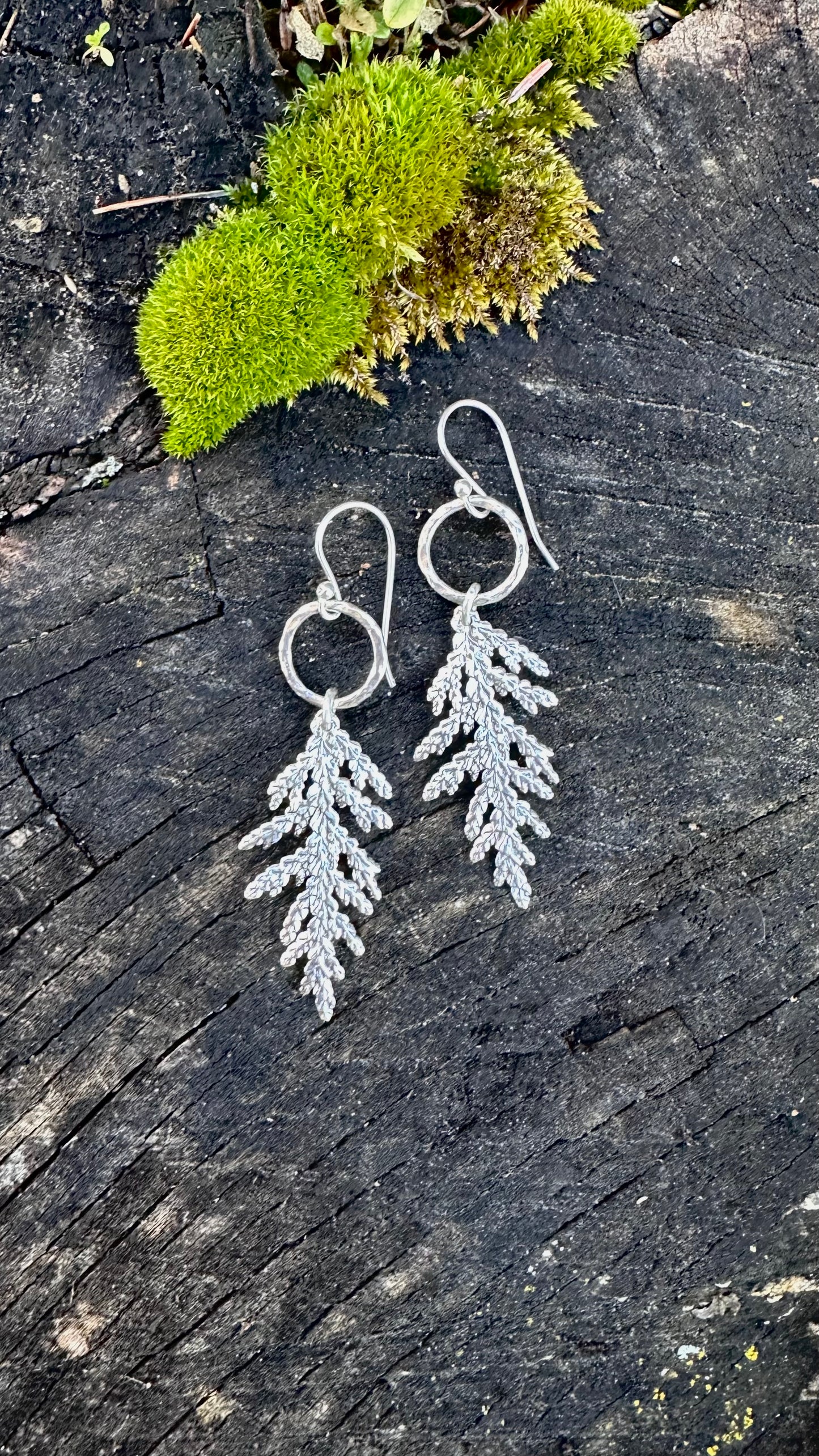 Cedar organically textured tree frond earrings from Maine