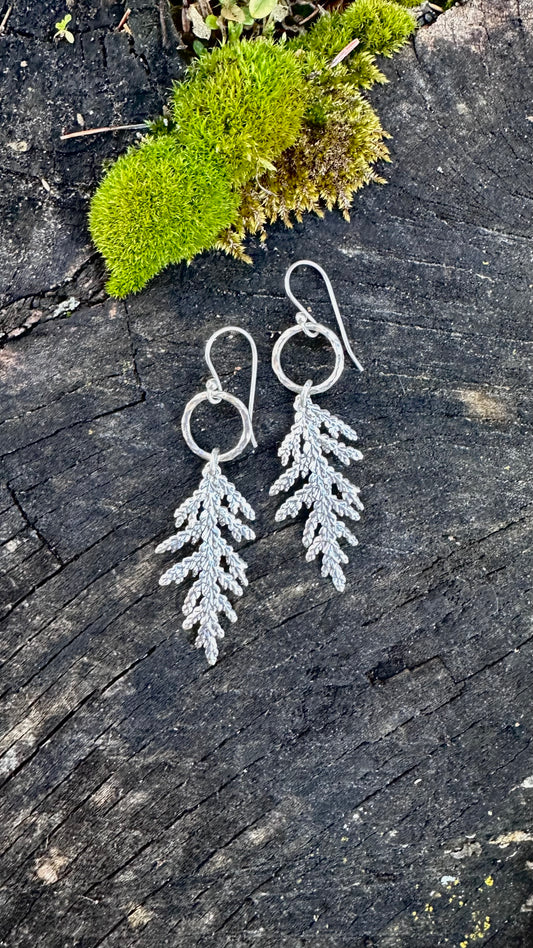 Cedar organically textured tree frond earrings from Maine