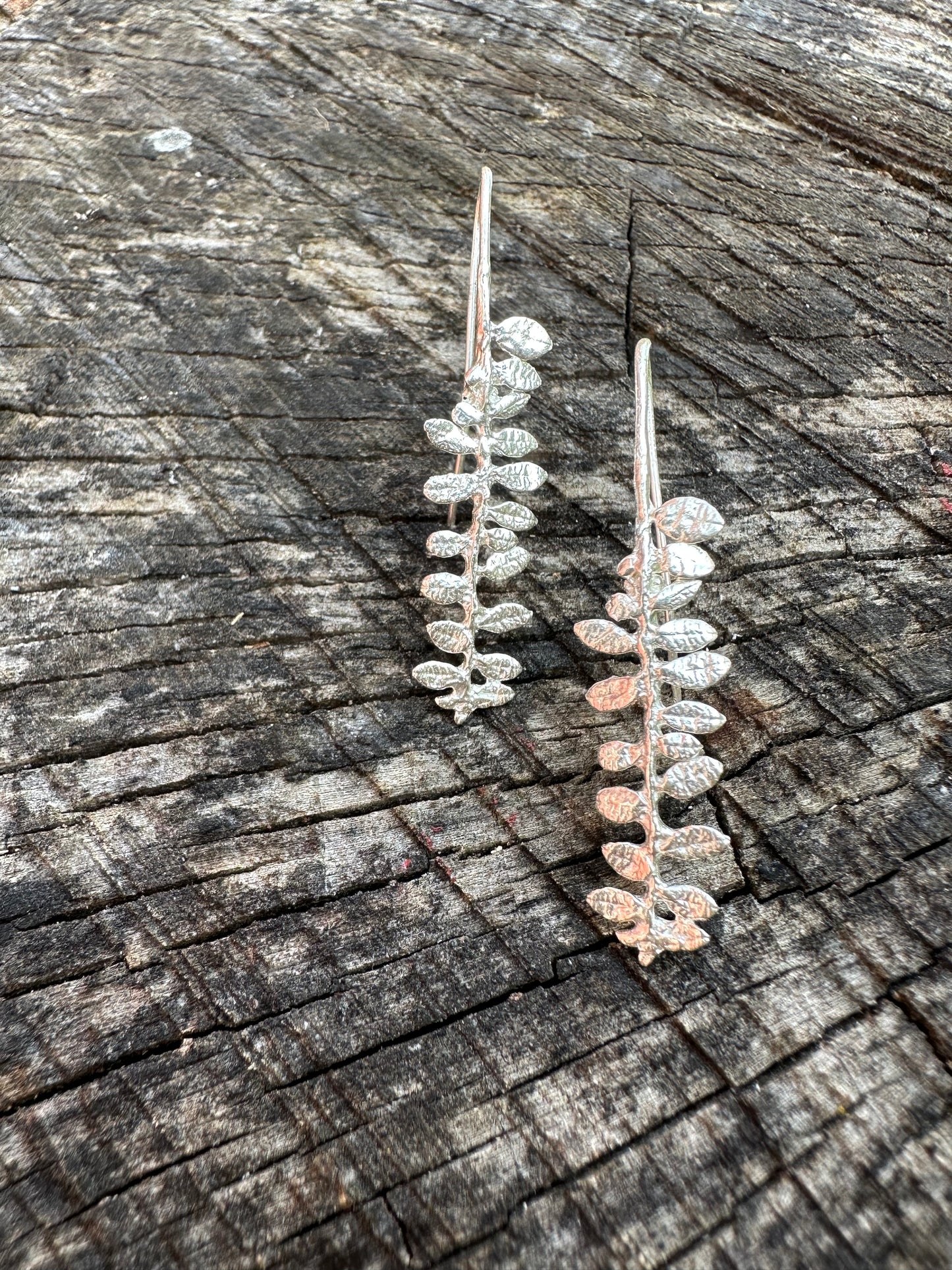 Cape Breton Fern recycled sterling silver fern earrings organic texture, minimalist ear wire, simple