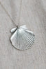 Fan Shell Necklace