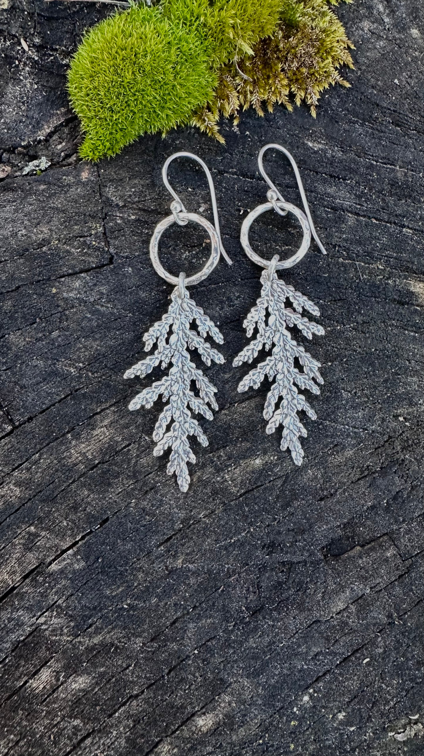 Cedar organically textured tree frond earrings from Maine