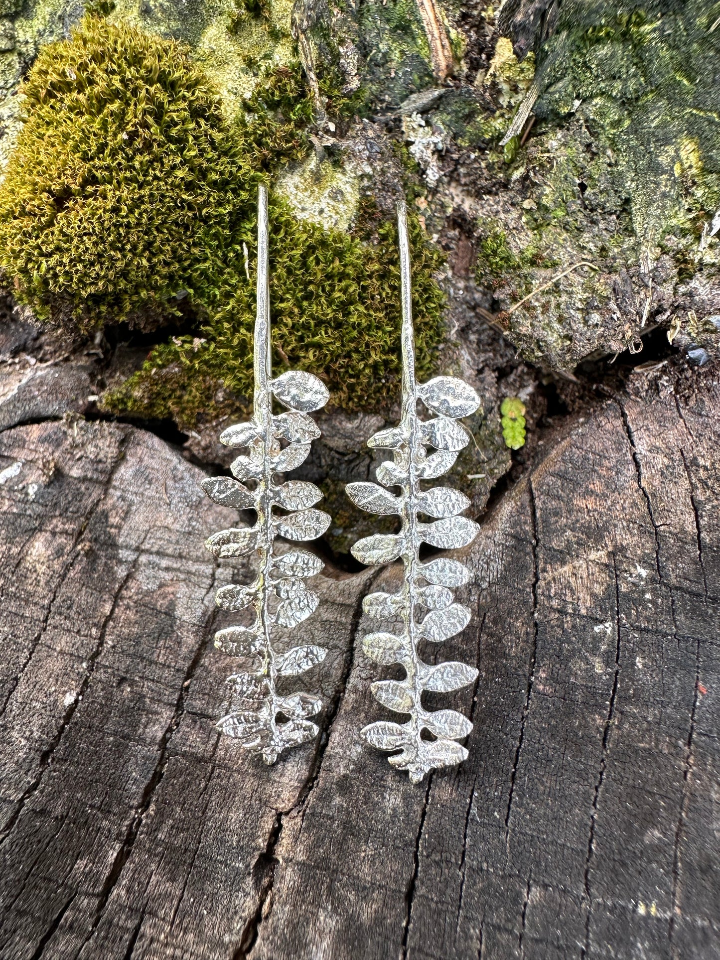 Cape Breton Fern recycled sterling silver fern earrings organic texture, minimalist ear wire, simple