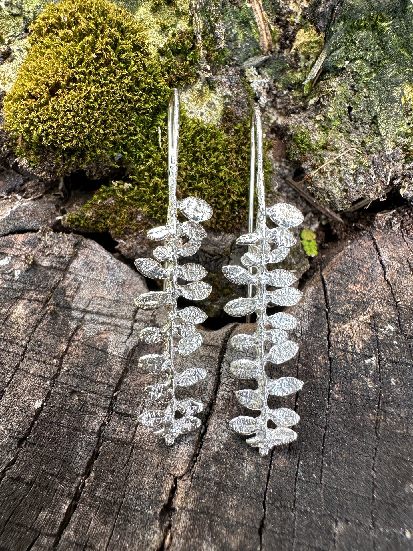Cape Breton Fern recycled sterling silver fern earrings organic texture, minimalist ear wire, simple